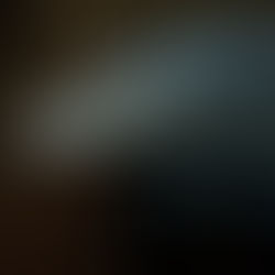 Blue Tree Monitor Enclosure Setup Guide: Safe Arboreal Home Ke Liye