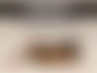 Crickets FAQ: Nutrition, Care, and Feeding Tips