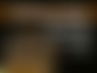 Jumping Spider Breeding Complete Guide