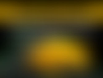 Understanding Cichlid Health: Common Problems and Effective Solutions