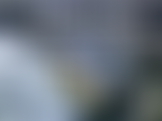 Archer Fish Tank Guide: Freshwater Aur Brackish Setup Explained