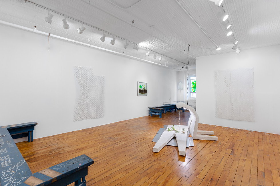 Installation of contemporary art Someday emerging art gallery New York Walker