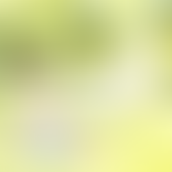 Croquis Linwë et le cerf