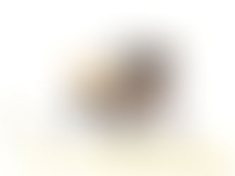 Linwë et Caelum à cheval