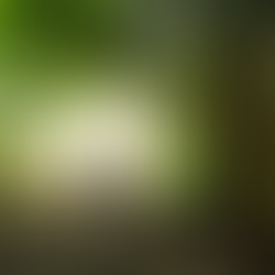 Prépa atelier aquarelle - Demeure de fée