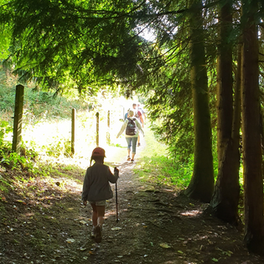 Prépa atelier aquarelle - Demeure de fée