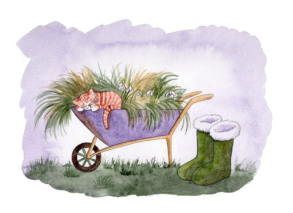 Chat dans une brouette