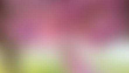 2027 Calendars now available to pre-order