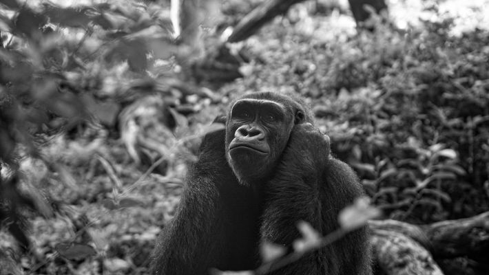 Nattional Geographic Photo Of the Day.jpeg