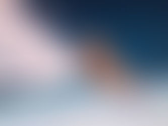 Adrianita fue incapaz