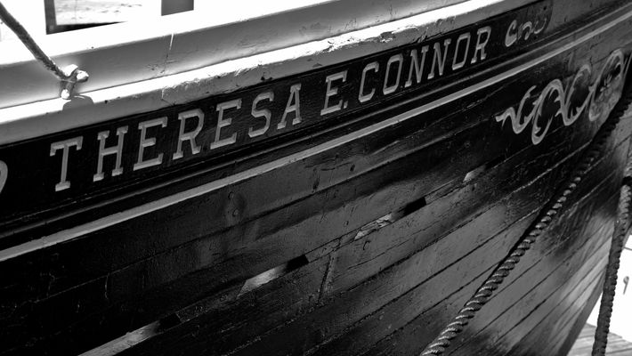 Theresa E Connor AI.jpeg