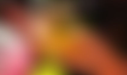LooK 452