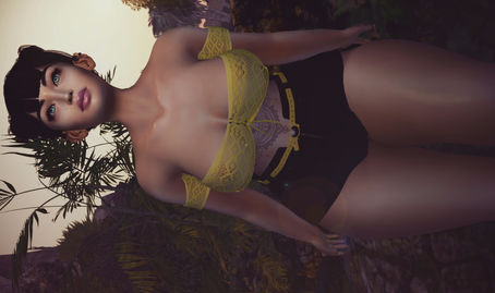 Look 219