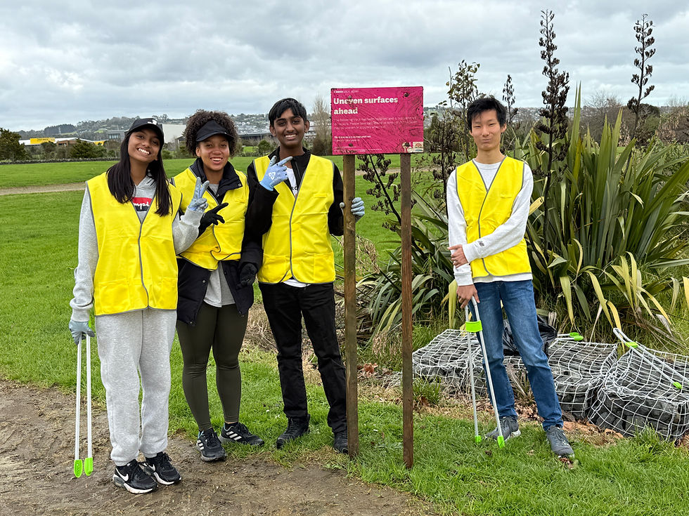 Community Clean up