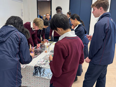 Youth Volunteering Term 3