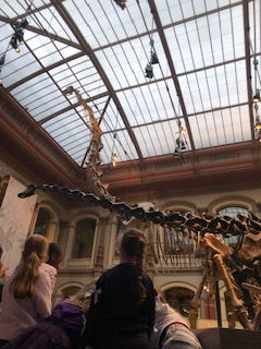 Zurück ins Reich der Dinosaurier 🦕