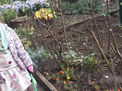Herbstputz an der Grundschule am Hohen Feld