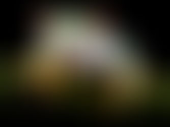 The Slow Boil: A History Lesson Repeated