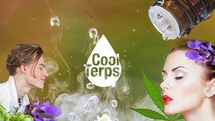 VAMOS FALAR SOBRE TERPENOS E AROMATERAPIA?