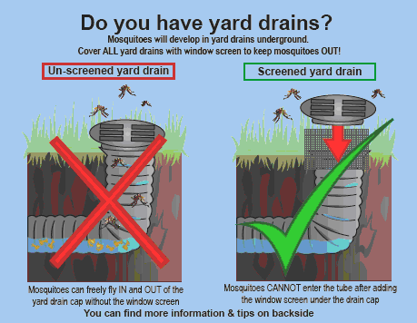 Yard Drain Image