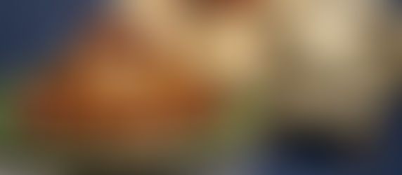 Giving Thanks...for Gelatin