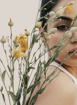 The Blooms - Babak Fatholahi.jpeg