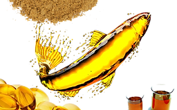 Fish Meal and Fish Oil