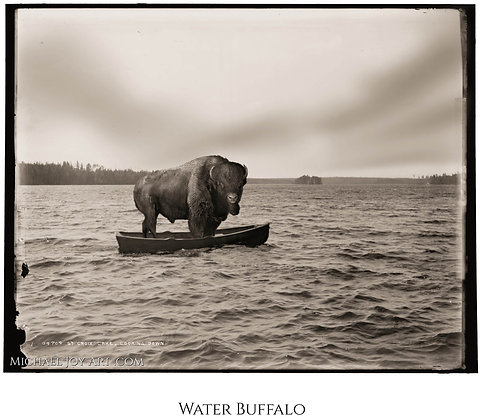 Water Buffalo Surreal Collage Buffalo Wall Art Print