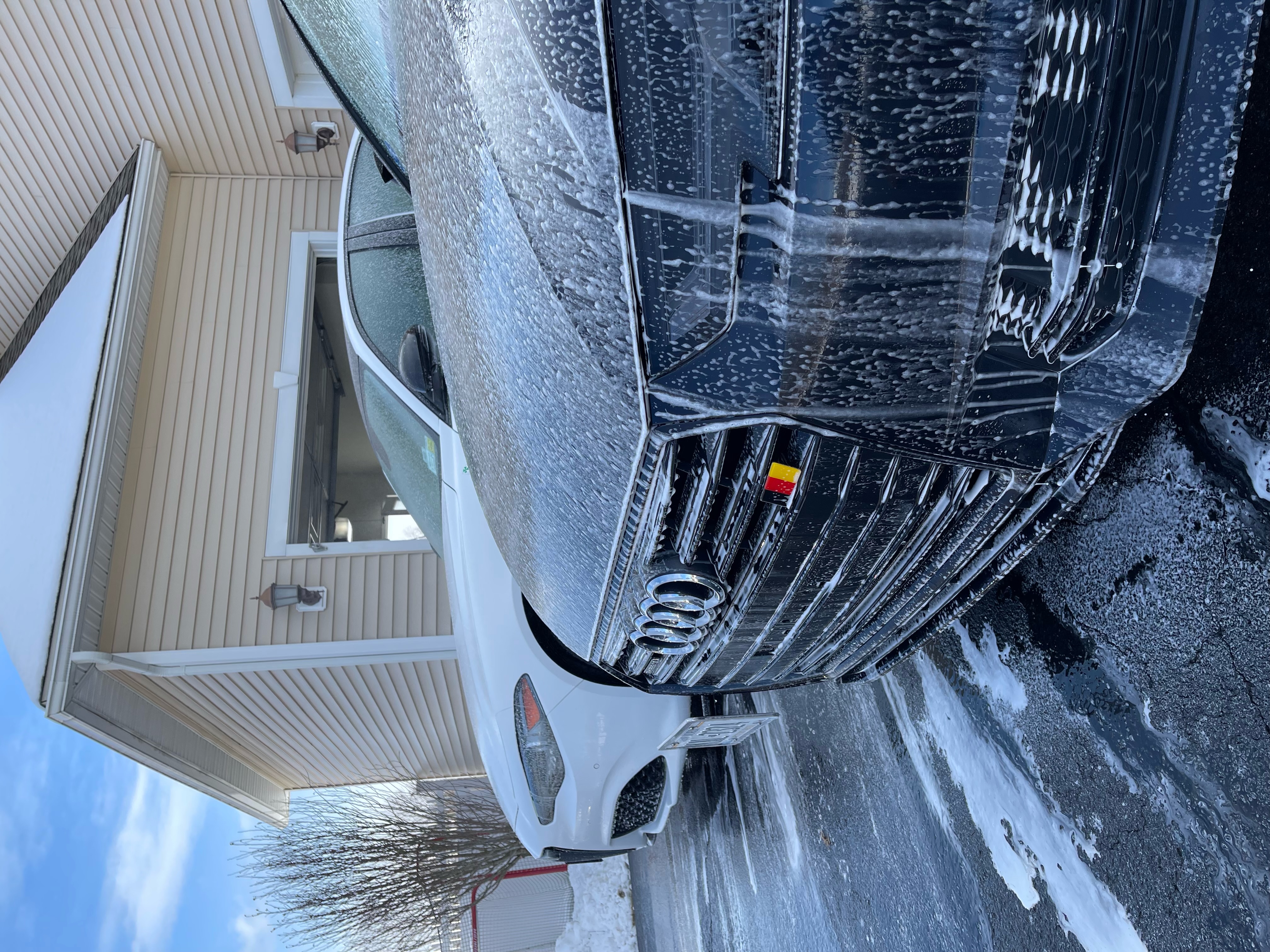 image1 (1).jpeg