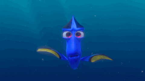 giphy-1.gif