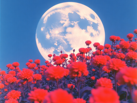 Bright moon from a field of red roses