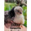 Thumbnail: Clucky Greenie Female Chicks