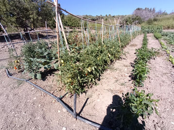 agritourism horticultural productions