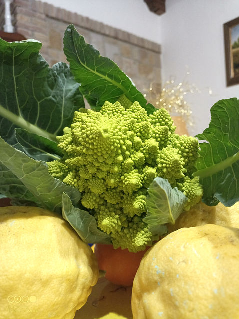 Agrotouristische Gartenbauproduktionen