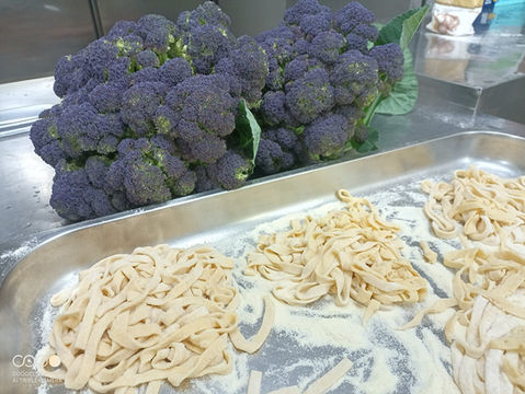 frische Pasta auf dem Bauernhof