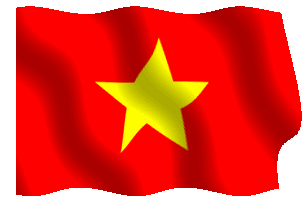 Bandiera_animata_flag_Viet-Nam_dal_1955.gif