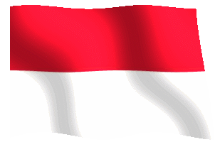 Bandiera_animata_flag_Indonesia.gif