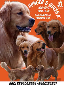 Locandina Hunger e Queen Key