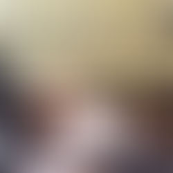 Il Kennel come Rifugio: Guida Pratica per abituare il cane al Kennel con un inserimento positivo