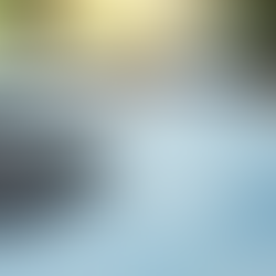 Streamline Your Finances with LPM Bookkeeping Services