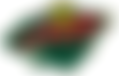 Minnesota Wild