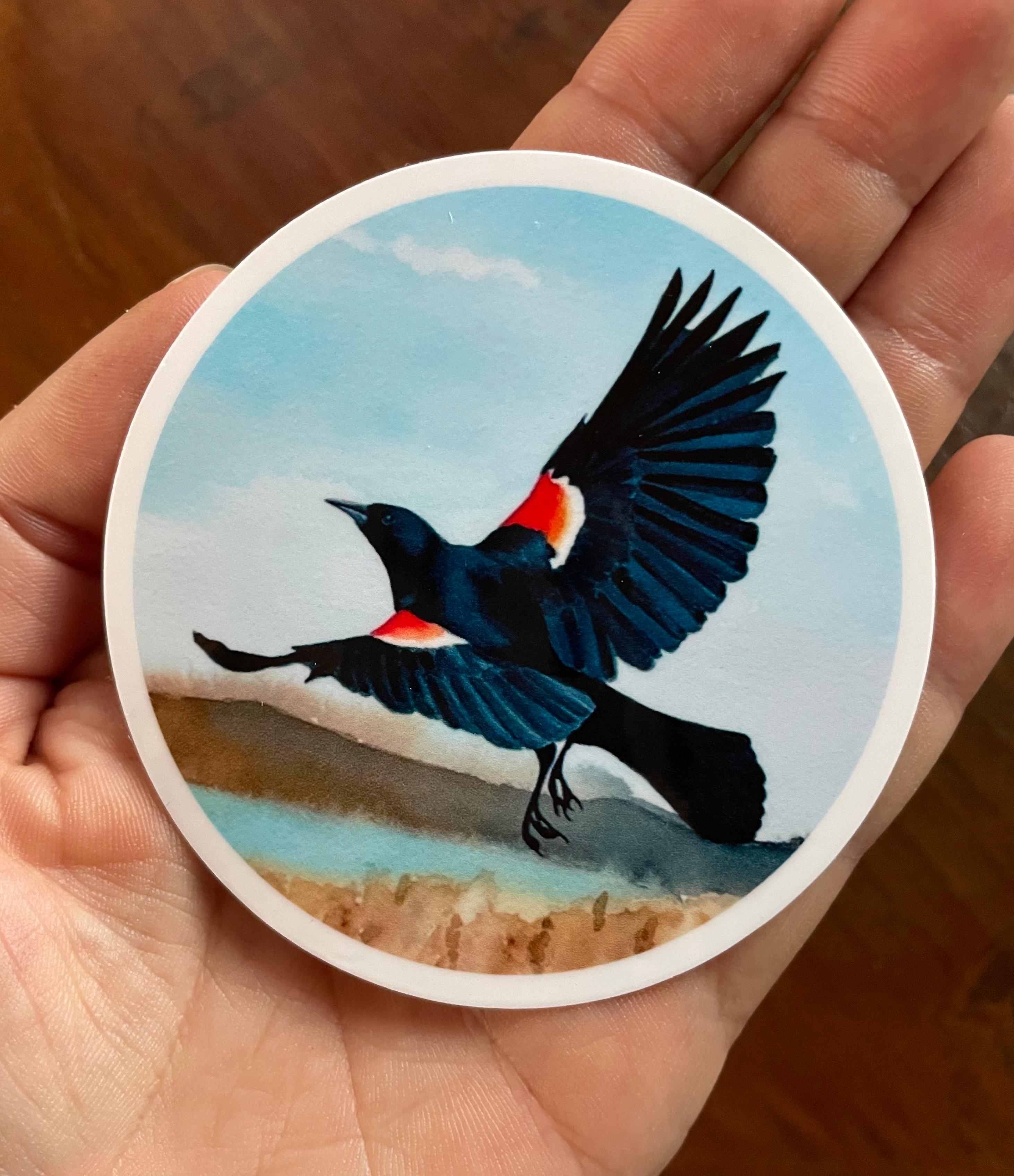 Red Winged Black Bird Vinyl Sticker 