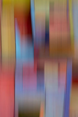 _0531859281