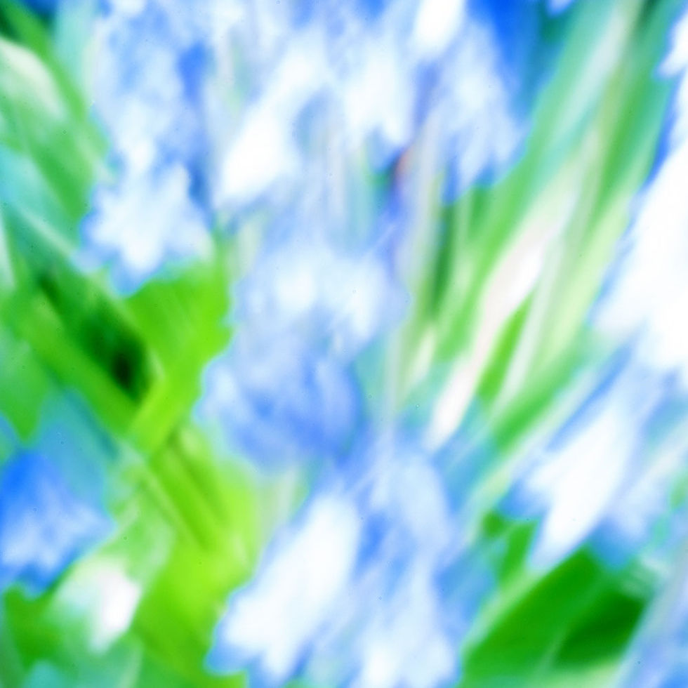_8791082514.jpg