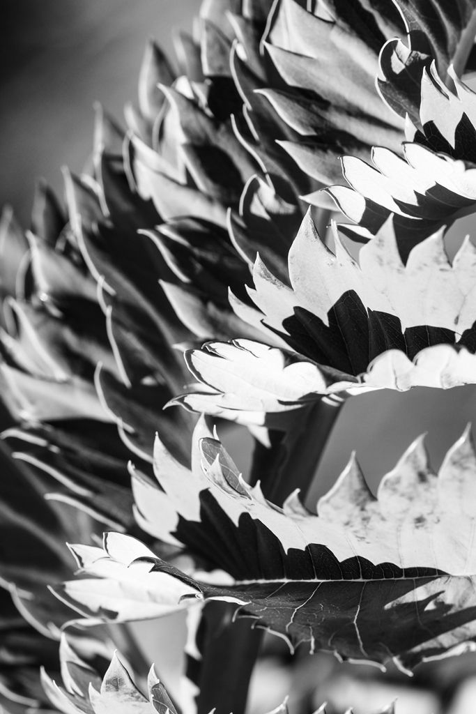 Serie 3 Fotoprints 60x40