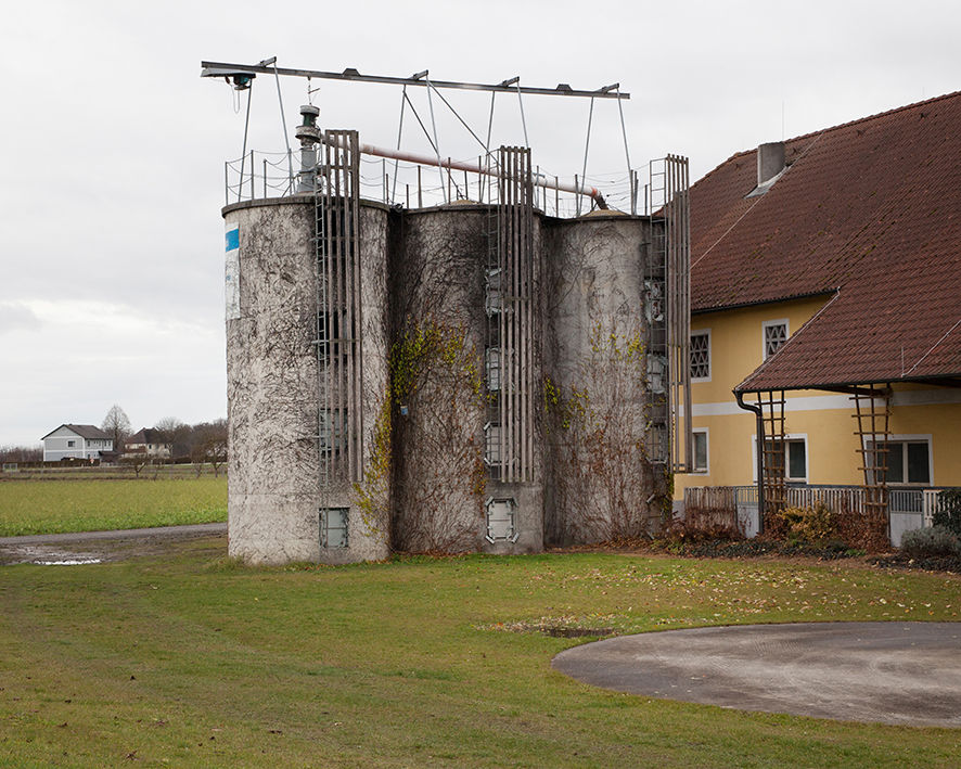 Machland zw Naarn u Ruprechtshofen 2021 © Billensteiner.jpg