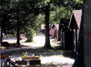 Camper Cabins at Camp Winni