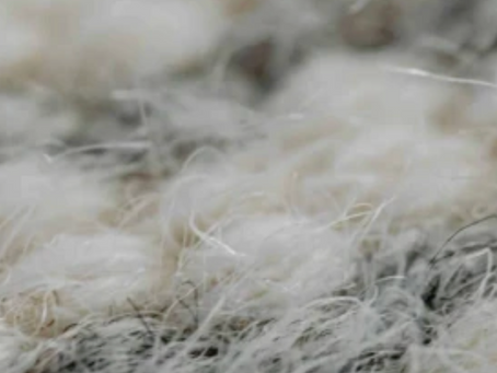 That Smell When Your Rug Gets Wet — What It Means and What to Do About It-Professional rug cleaning Boulder CO