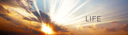 banner2