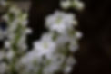 9V0A9799.jpg